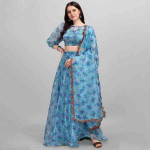 Blue Organza Flared Lehenga